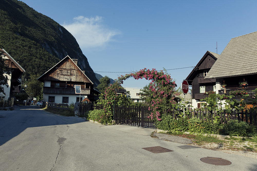 Vintgar Gorge I Lake Bohinj road trip Slovenia - Sally Says So